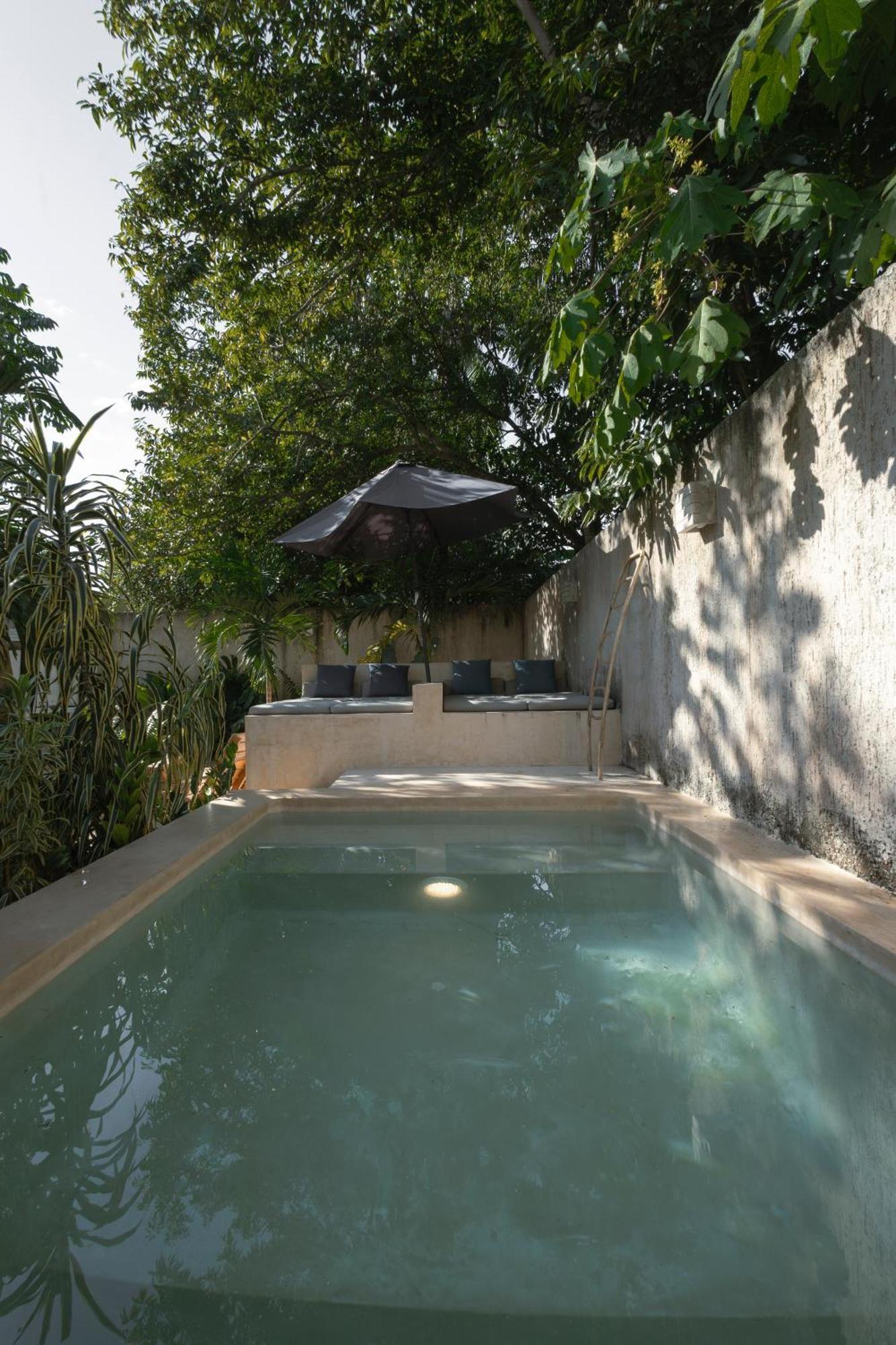 バリャドリッド La Sultana Amazing New House With Poolヴィラ エクステリア 写真