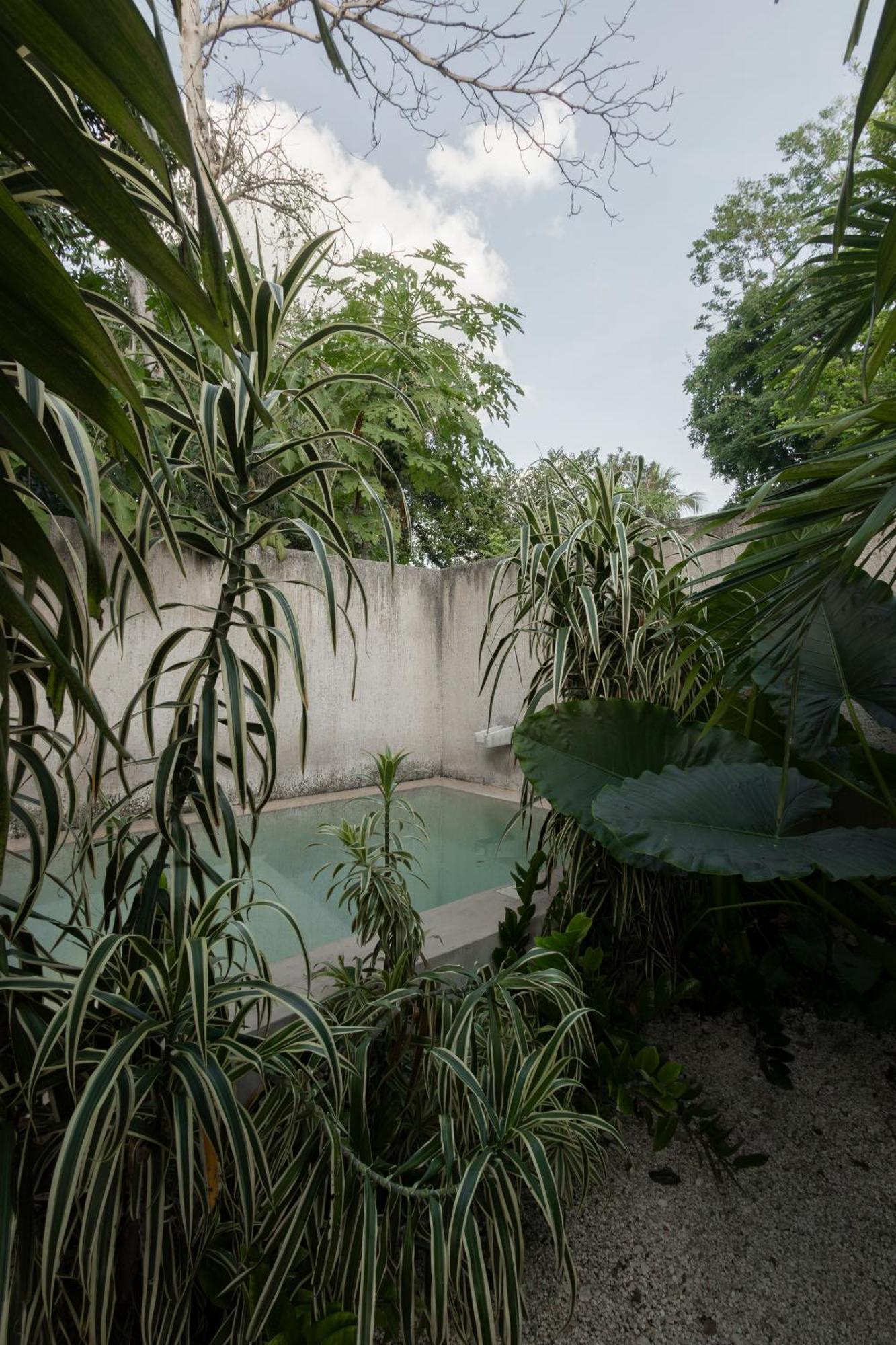 バリャドリッド La Sultana Amazing New House With Poolヴィラ エクステリア 写真